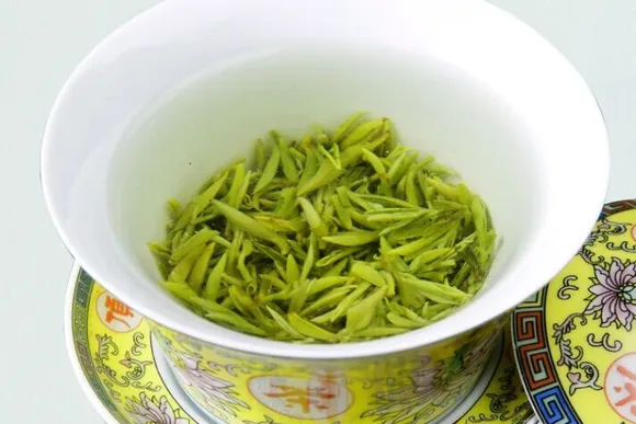 陆游与蒙顶山茶