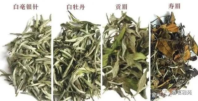 最全中国茶基础知识学茶必备建议收藏一篇文章带你了解茶叶。永利娱场城官网首页入口