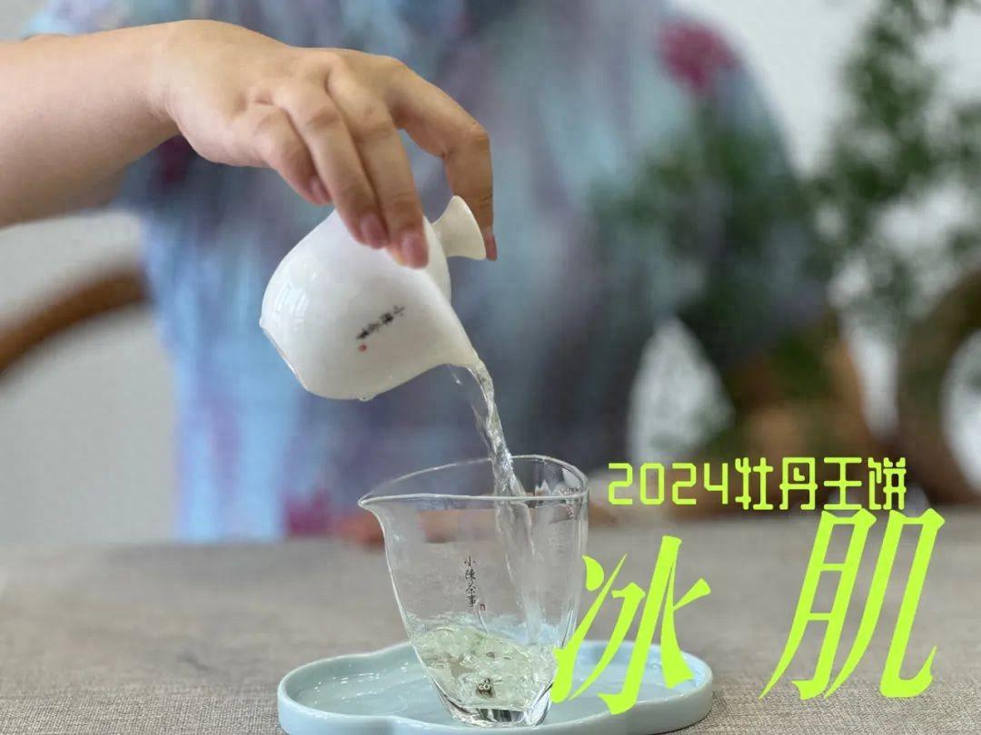 都是白茶，乌龙茶树品种制作的白茶，与传统白茶之间，有何不同？