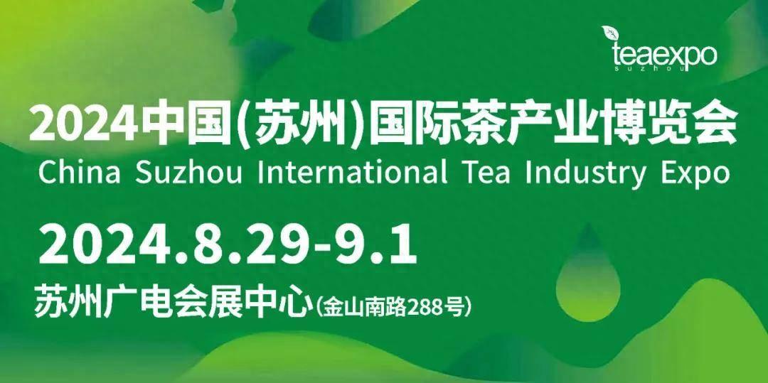 火爆沪苏地区的梧州六堡茶，交出了2024年“年中答卷”