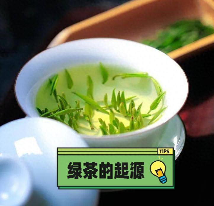 绿茶的起源，你了解吗？绿茶有哪些品种？怎么泡才好喝？答案来了