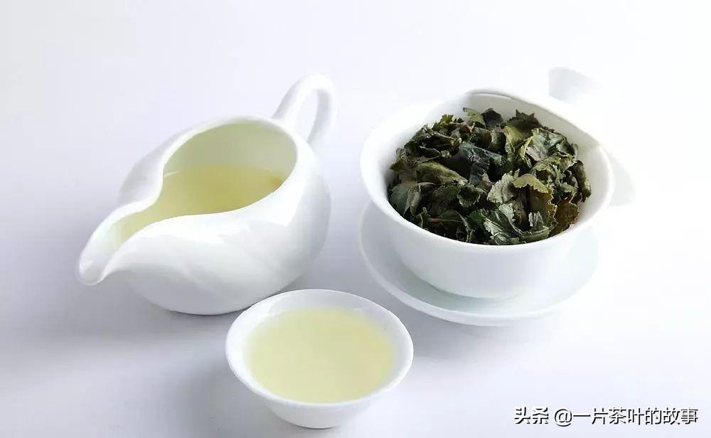 青茶茶语  乌龙茶知识大全，看完就不会闹“乌龙”了