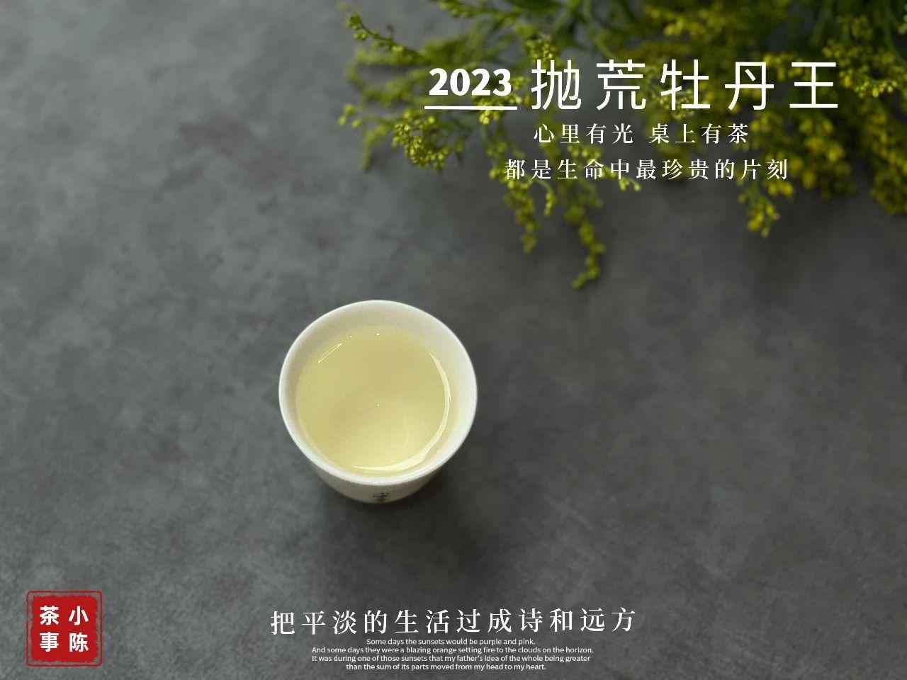 白茶和绿茶的4点区别，别再只会说“差不多”了，真的不一样