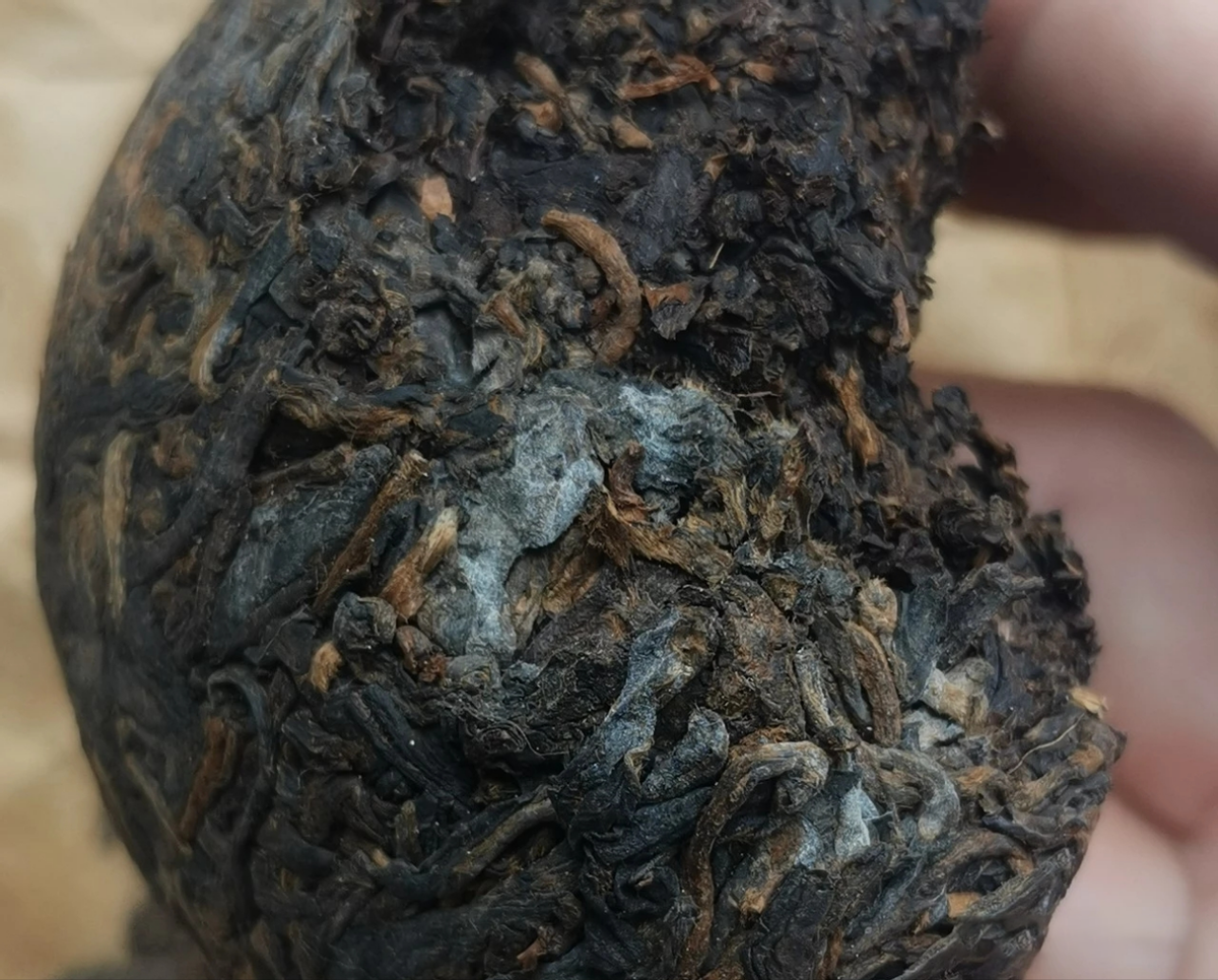 一克熟茶五亿霉菌，喝熟茶等于喝脏水？普洱茶到底还能不能喝？