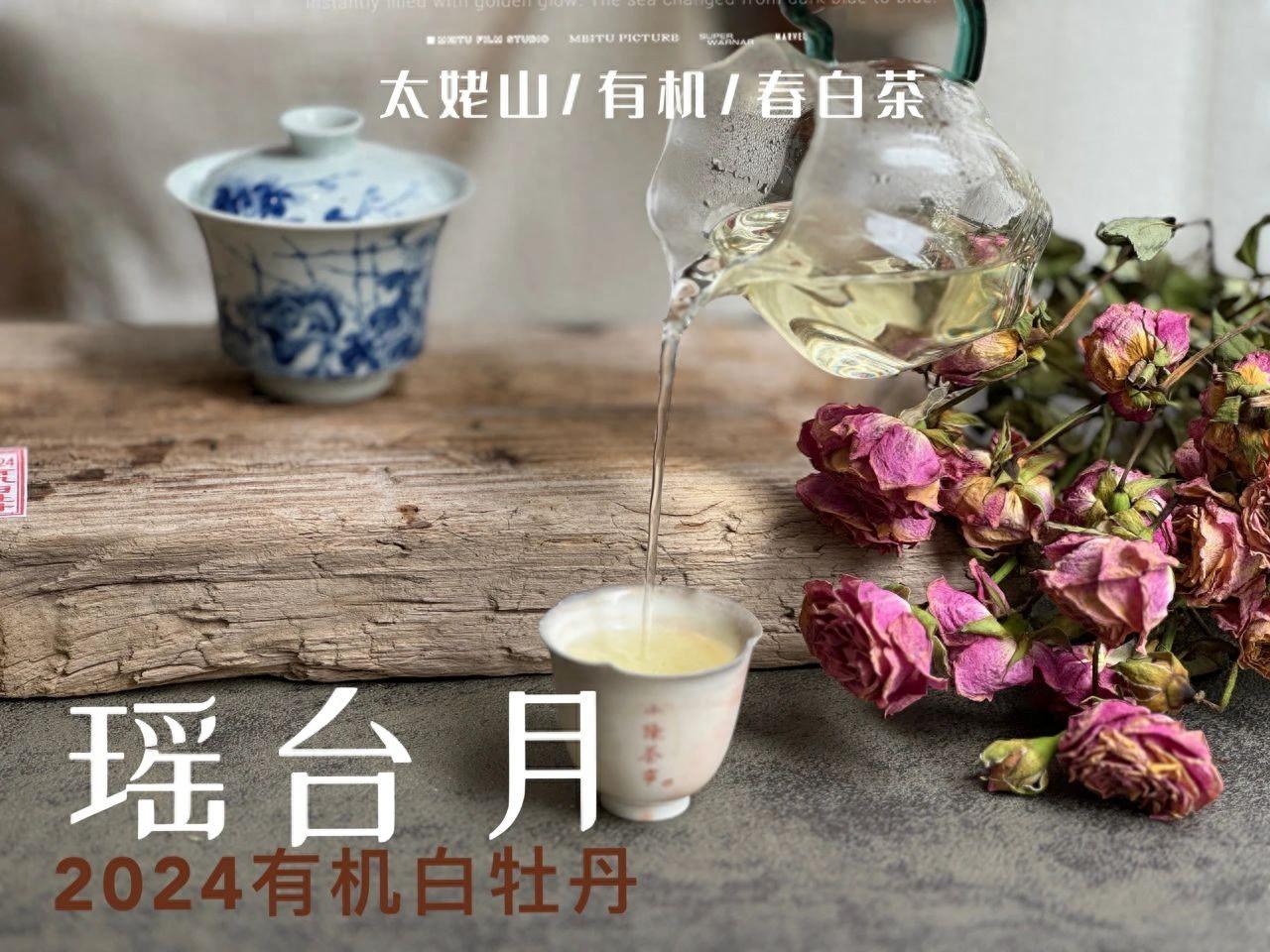 盖碗泡白茶，一定要放5克吗？能不能少放一点节省茶叶？